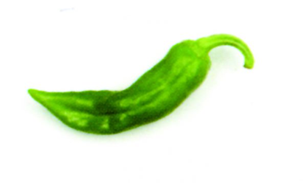 Pimiento verde extra