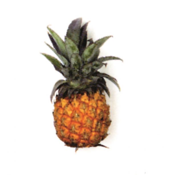 Piña baby