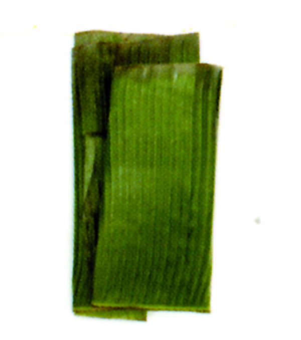 Hojas de Plátano