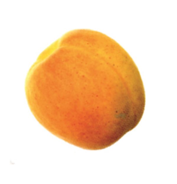 Albaricoque