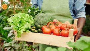 ¡Buenos días! Aquí tienes un artículo de blog sobre "Frutas y verduras ecológicas: beneficios y tendencias en el mercado actual": Frutas y verduras ecológicas: beneficios y tendencias en el mercado actual