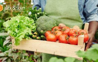 ¡Buenos días! Aquí tienes un artículo de blog sobre "Frutas y verduras ecológicas: beneficios y tendencias en el mercado actual": Frutas y verduras ecológicas: beneficios y tendencias en el mercado actual