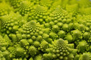 romanesco