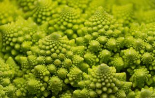 romanesco