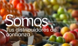 Distribuidores de frutas y verduras en País Vasco y Cantabria