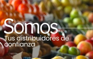 Distribuidores de frutas y verduras en País Vasco y Cantabria