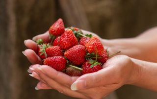 descubre los beneficios de las fresas