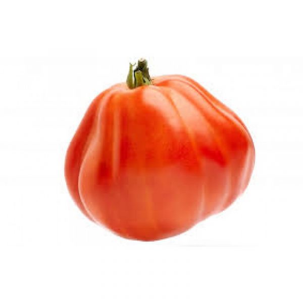Tomate corazón buey