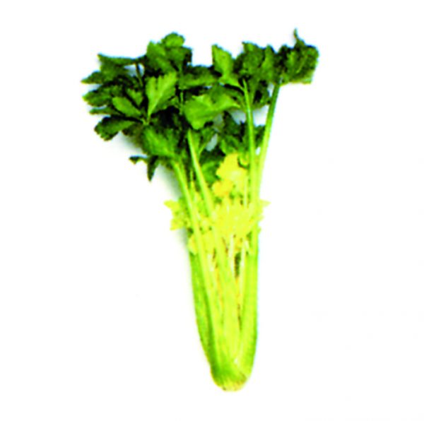 Apio verde