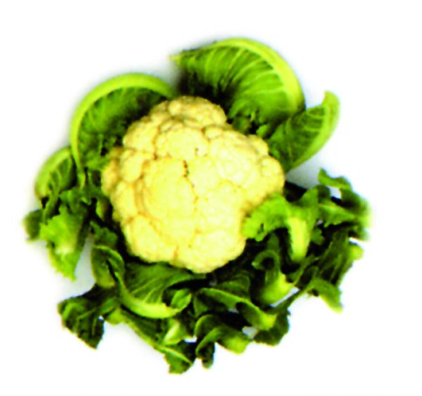 Coliflor