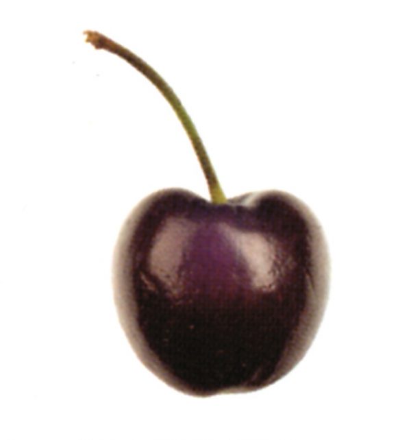 Cereza