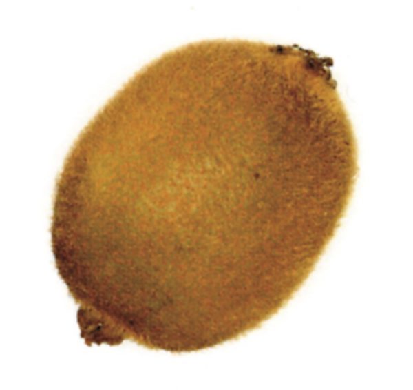 Kiwi Importación