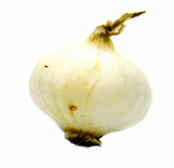 Cebolla dulce