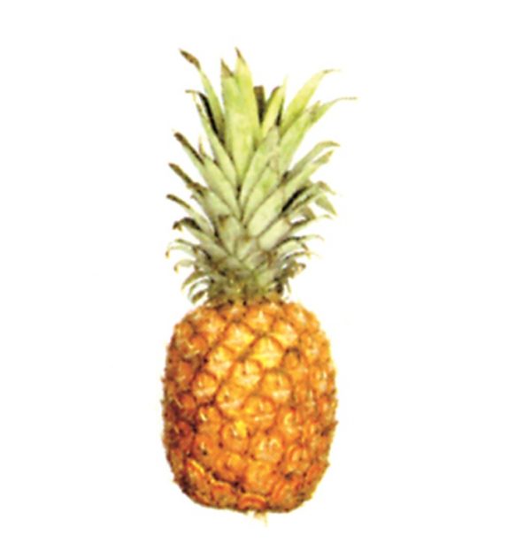 Piña de avión