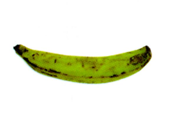 Plátano macho