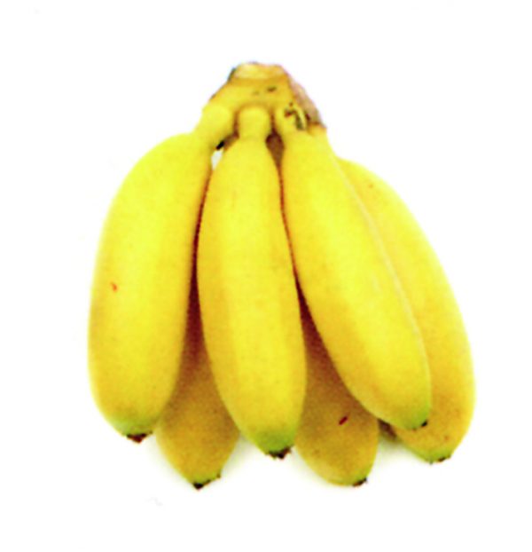 Bananito