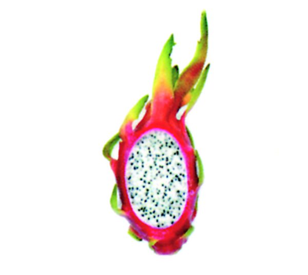 Pitahaya roja