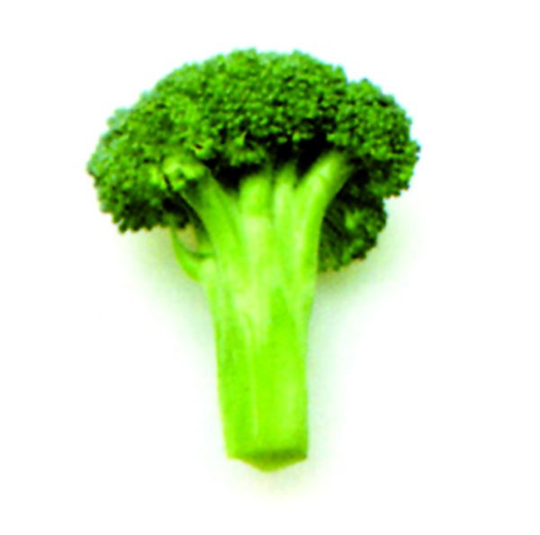 Brócoli