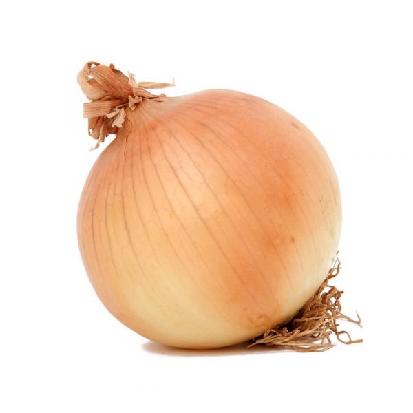 Cebolla nueva