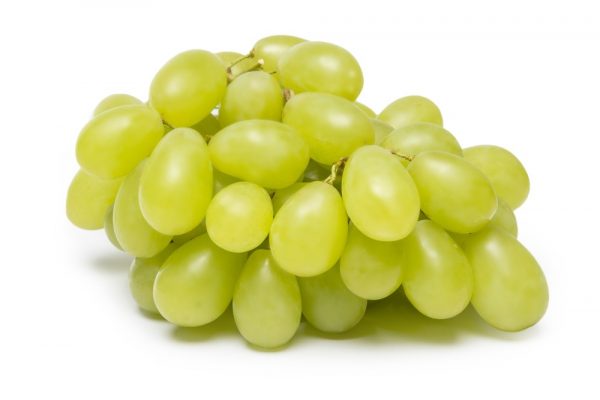 Uva italiana