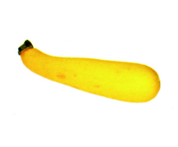 Calabacín amarillo