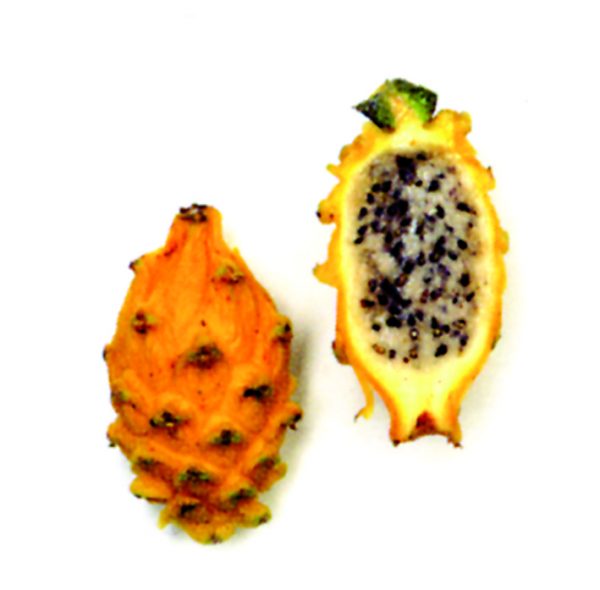 Pitahaya amarilla