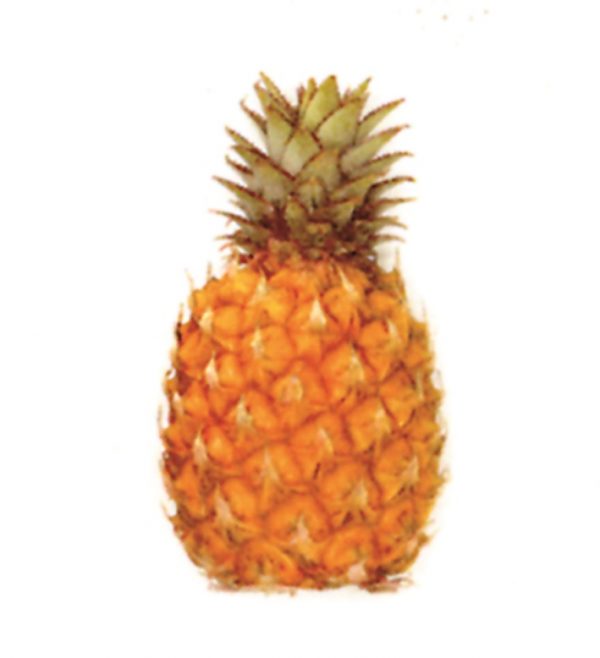 Piña extra