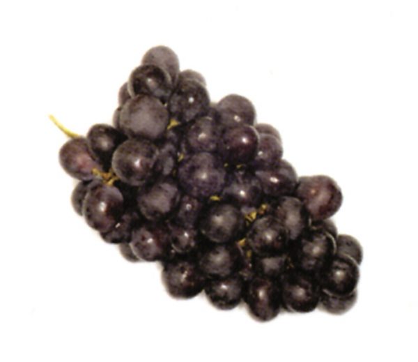 Uva negra