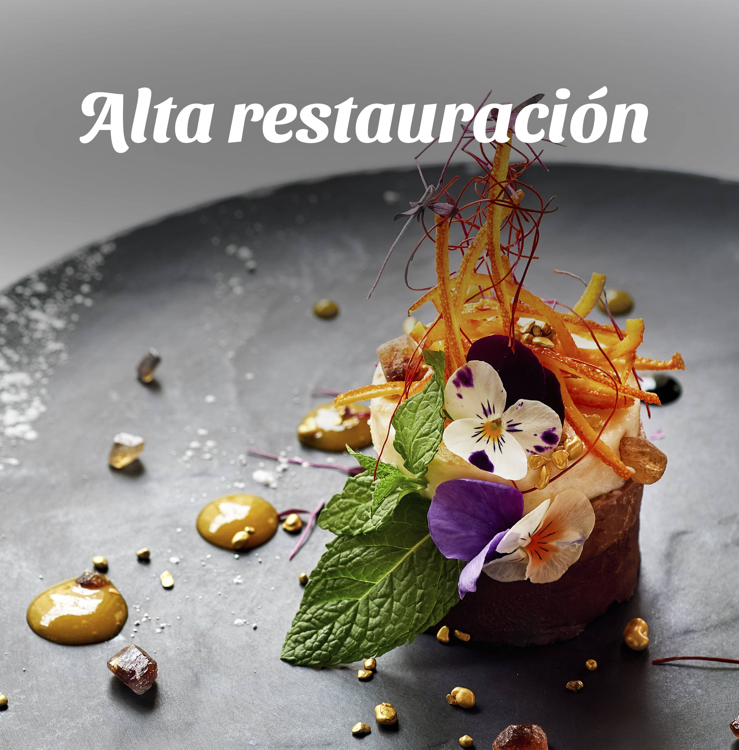 ALTA RESTAURACIÓN