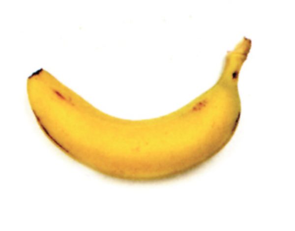 Plátano