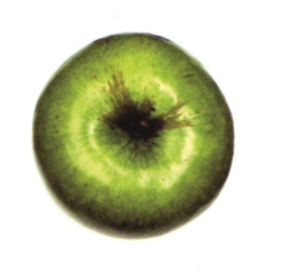 Manzana Granny Smith