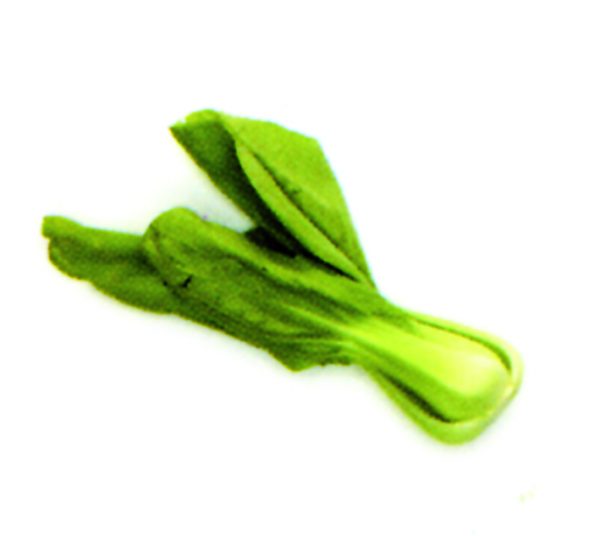 Packchoy