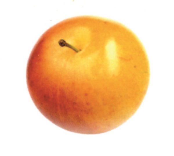 Ciruela amarilla