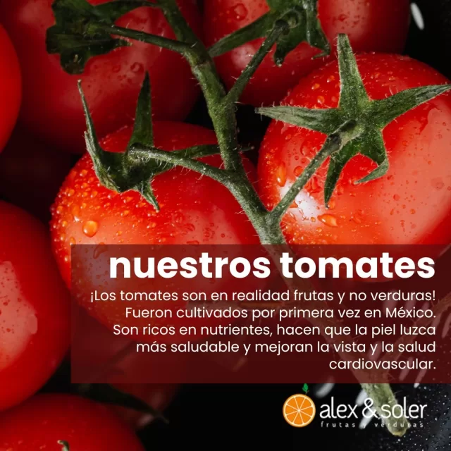 🍅¿Sabías que los tomates son en realidad frutas y no verduras? Originarios de México, fueron cultivados por primera vez en tierras aztecas. 

En Frutas Alex y Soler, te ofrecemos los mejores y más sabrosos tomates, ricos en nutrientes esenciales que benefician tu salud en múltiples formas:

✨ Piel más saludable: Gracias a su contenido en licopeno y antioxidantes, nuestros tomates ayudan a que tu piel luzca radiante y protegida. 
👀 Mejoran la vista: Ricos en vitamina A y betacaroteno, son esenciales para mantener una buena salud ocular.
❤️ Salud cardiovascular: Con propiedades que reducen el colesterol LDL y la presión arterial, nuestros tomates cuidan de tu corazón.

Ven a Frutas Alex y Soler y descubre por qué nuestros tomates son la elección perfecta para tu alimentación saludable. 

¡Te esperamos en MercaBilbao, Basauri, Bizkaia!

#FrutasAlexYSoler #MercaBilbao #TomatesFrescos #Saludable #Bizkaia #Nutrición #Salud